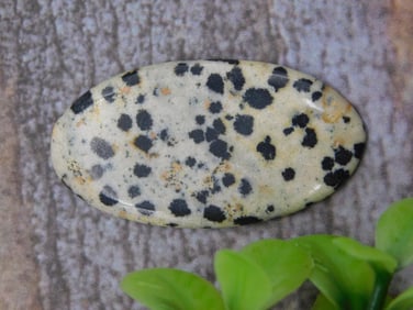 DALMATION JASPER CABOCHON ROCK STONE LAPIDARY SPECIMEN