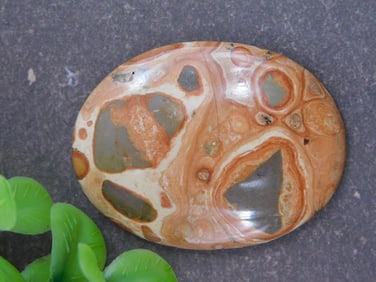 FOSSIL STONE CABOCHON ROCK STONE LAPIDARY SPECIMEN