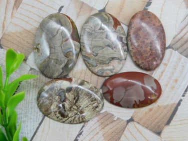 CABOCHONS ROCK STONE LAPIDARY SPECIMEN