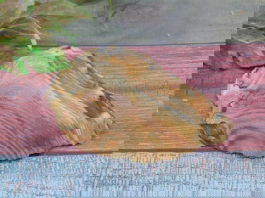 JASPER ROCK STONE LAPIDARY SPECIMEN