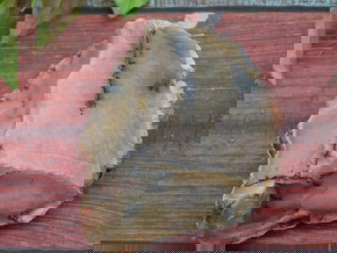 DENDRITIC OPALITE ROCK STONE LAPIDARY SPECIMEN