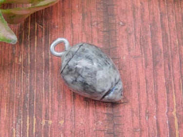 ORTHOCERAS PENDANT ROCK STONE LAPIDARY SPECIMEN