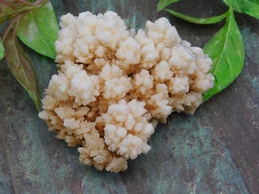 CAULIFLOWER CALCITE ROCK STONE LAPIDARY SPECIMEN