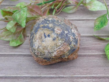 MEXICAN AGATE ROCK STONE LAPIDARY SPECIMEN
