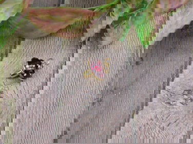 MUSHROOM PENDANT VINTAGE ANTIQUE