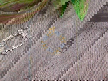 STONE PENDANT ROCK STONE LAPIDARY SPECIMEN