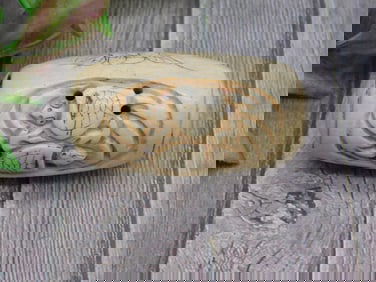 CARVED JADE BEAD ROCK STONE LAPIDARY SPECIMEN