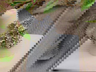 HAMMERED SILVER TONE RING