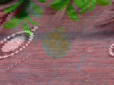 TIGER EYE PENDANT ROCK STONE LAPIDARY SPECIMEN