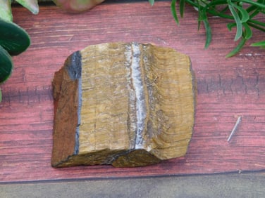 TIGER EYE ROCK STONE LAPIDARY SPECIMEN