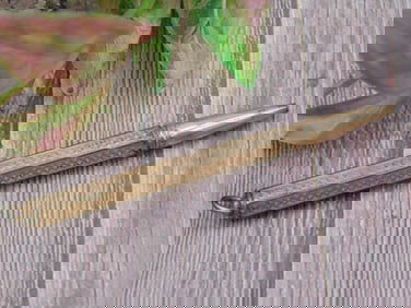 HALLMARK MECHANICAL PENCIL VINTAGE ANTIQUE