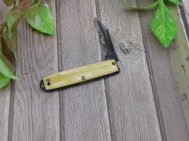 COLONIAL FOLDING POCKET KNIFE