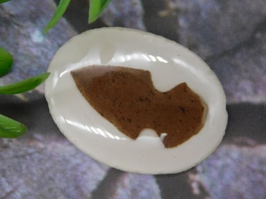 ARROWHEAD CABOCHON ROCK STONE LAPIDARY SPECIMEN