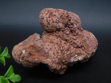COPROLITE ROCK STONE LAPIDARY SPECIMEN