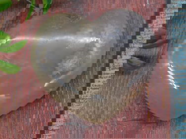 FLOWER PETAL AGATE HEART ROCK STONE LAPIDARY SPECIMEN