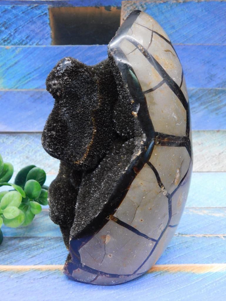 3 POUND SEPTARIAN DRAGON EGG ROCK STONE LAPIDARY SPECIMEN: 3 POUND SEPTARIAN DRAGON EGG ROCK STONE LAPIDARY SPECIMEN
