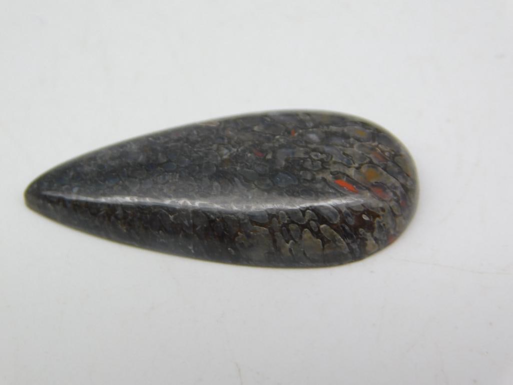 DINOSAUR BONE CABOCHON ROCK STONE LAPIDARY SPECIMEN: DINOSAUR BONE CABOCHON ROCK STONE LAPIDARY SPECIMEN