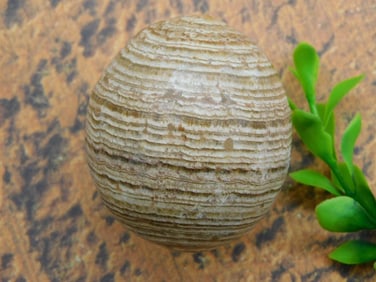BANDED JASPER EGG ROCK STONE LAPIDARY SPECIMEN