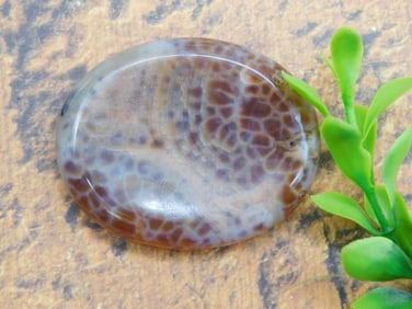 FIRE AGATE WORRY STONE ROCK STONE LAPIDARY SPECIMEN