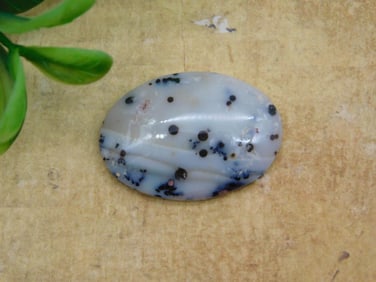 CABOCHON ROCK STONE LAPIDARY SPECIMEN