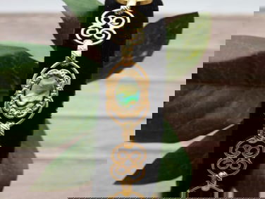 ABALONE STONE BRACELET ROCK STONE LAPIDARY SPECIMEN