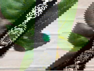 ABALONE STONE BRACELET ROCK STONE LAPIDARY SPECIMEN