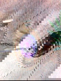 ABALONE PENDANT ROCK STONE LAPIDARY SPECIMEN