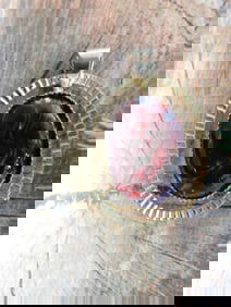 ABALONE PENDANT ROCK STONE LAPIDARY SPECIMEN