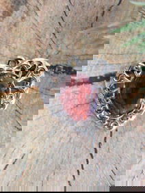 ABALONE HEART PENDANT ROCK STONE LAPIDARY SPECIMEN