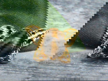 TIGERS EYE BUTTERFLY PENDANT ROCK STONE LAPIDARY SPECIMEN