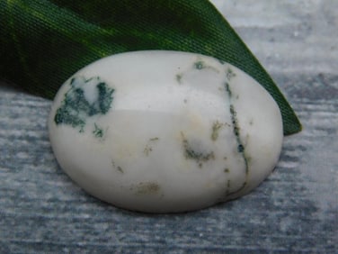 TREE AGATE CABOCHON ROCK STONE LAPIDARY SPECIMEN