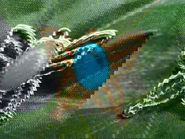 TURQUOISE BUTTERFLY PENDANT ROCK STONE LAPIDARY SPECIMEN