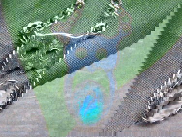 ABALONE OWL PENDANT NECKLACE ROCK STONE LAPIDARY SPECIMEN