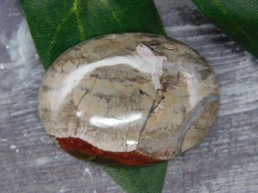 CABOCHON ROCK STONE LAPIDARY SPECIMEN