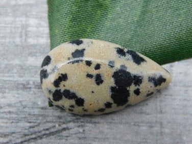 DALMATION JASPER CABOCHON ROCK STONE LAPIDARY SPECIMEN
