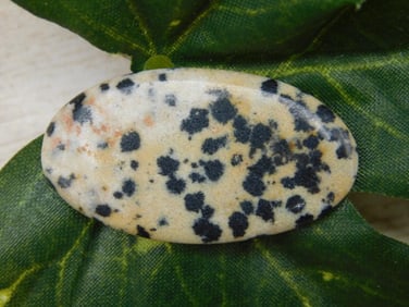 DALMATION JASPER CABOCHON ROCK STONE LAPIDARY SPECIMEN