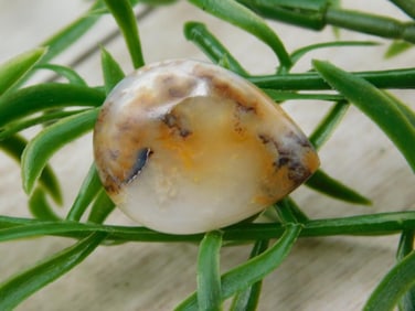 CABOCHON ROCK STONE LAPIDARY SPECIMEN