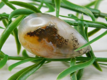 CABOCHON ROCK STONE LAPIDARY SPECIMEN