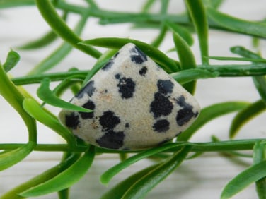 DALMATION JASPER CABOCHON ROCK STONE LAPIDARY SPECIMEN
