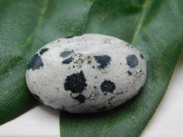 DALMATION JASPER CABOCHON ROCK STONE LAPIDARY SPECIMEN