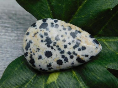 DALMATION JASPER CABOCHON ROCK STONE LAPIDARY SPECIMEN