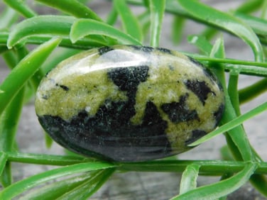 MOSS AGATE CABOCHON ROCK STONE LAPIDARY SPECIMEN