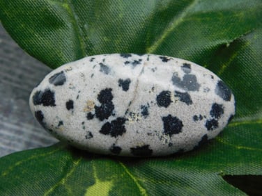 DALMATION JASPER CABOCHON ROCK STONE LAPIDARY SPECIMEN