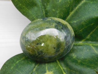 FOSSILIZED CORAL WIRE TREE PENDANT ROCK STONE LAPIDARY SPECIMEN