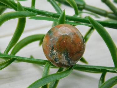 RHYOLITE CABOCHON ROCK STONE LAPIDARY SPECIMEN