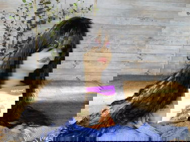 WIG with MANNEQUIN HEAD DISPLAY 100% PREMIUM FIBER STYLE JOSEPHINE COLOR 2 344