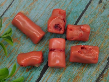 RED CORAL ROCK STONE LAPIDARY SPECIMEN