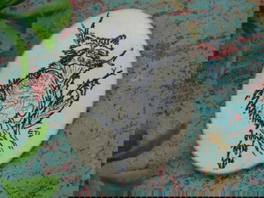 SCRIMSHAW CABOCHON ROCK STONE LAPIDARY SPECIMEN