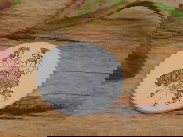 SCRIMSHAW CABOCHON ROCK STONE LAPIDARY SPECIMEN