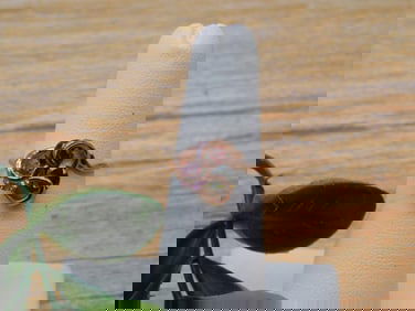 STONE RING ROCK STONE LAPIDARY SPECIMEN